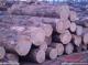 小三通进口非洲木材到深圳