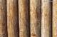 包税买单进口欧洲木材
