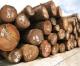 一般贸易进口南美木材
