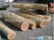 一般贸易进口南美木材到龙岗区