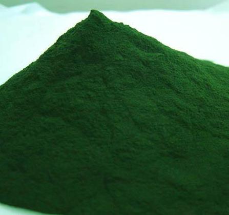 스피루리나(Spirulina)