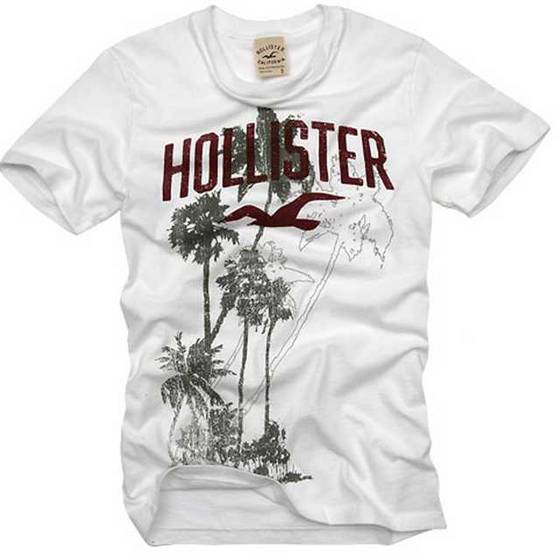 hollister-shirts-jeanshirt-co-ltd