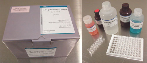Aujeszky's病毒gI抗体鉴别ELISA试剂