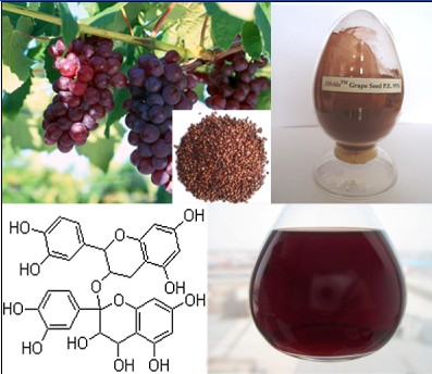 葡萄籽提取物