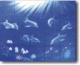 幻彩天花板系列-海底世界