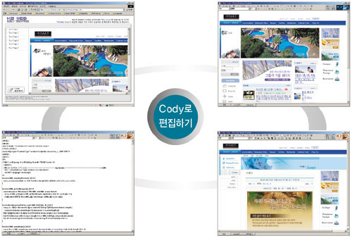 K2 网络 Cody (web solution program)