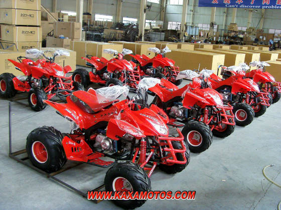 Dune Buggy Go Kart with 110cc150cc250cc and 500cc engines