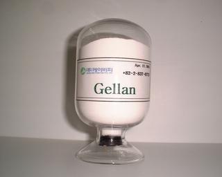 Gellan