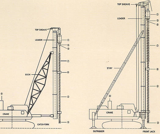 Standard Structure