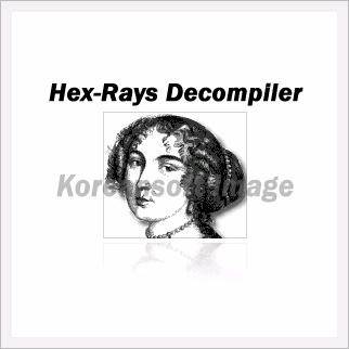 Hex Rays Arm Decompiler Crackedinstmanksl