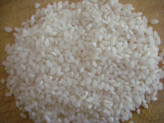 What is Calrose rice?