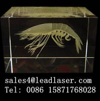 laser color engraving crystal machine ec21