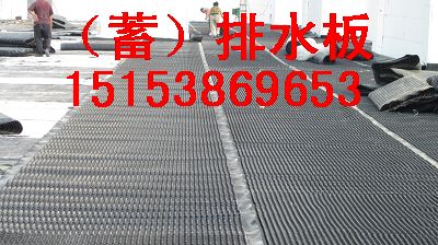 供应排水板无纺布）+（排水板优质厂家
