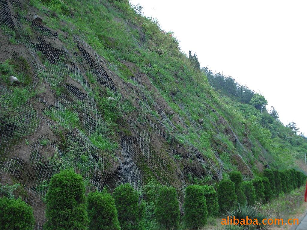 勾花网之山坡勾花网