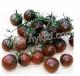 希腊神哥--黑番茄种子
