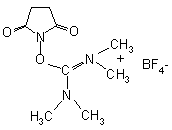  TSTU