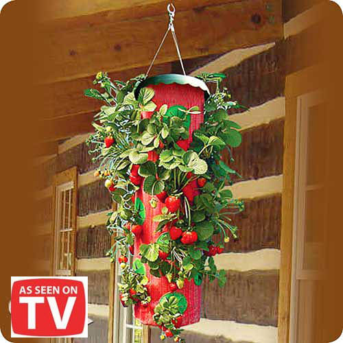 28+ topsy turvy strawberry planter pots amp planters hang am.