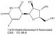 131-06-6  5-氟阿糖尿苷   1-β-D-Arabinofuranosyl-5-fluorouracil;