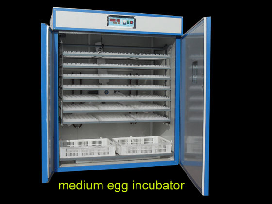 1000-2000 Eggs for Chicken Egg Incubator - Dezhou Keyu Incubator 