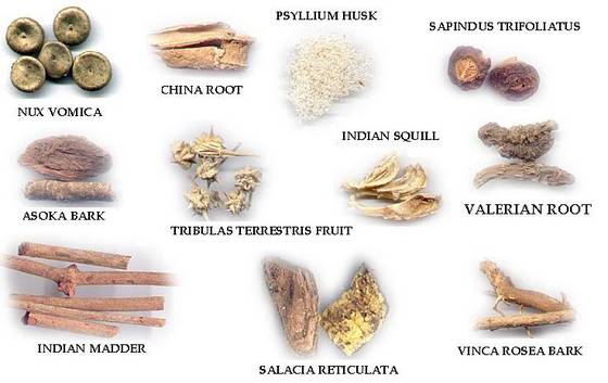 You Good Quality Herbs We Herewith Listed Some Of Our Herbs Herbs List