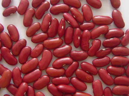 英国红芸豆