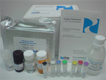 伊维菌素检测试剂盒
