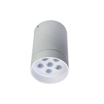 LED High Power Ceiling Light