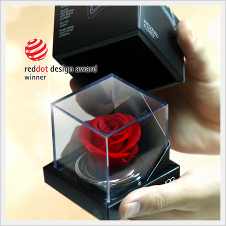 3-year Preserved Flower