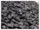 Bituminous Coal