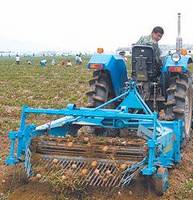 Potato+Harvest+Machine Potato Harvest Machine from Shandong Tiansheng Machinery Co.,Ltd ...