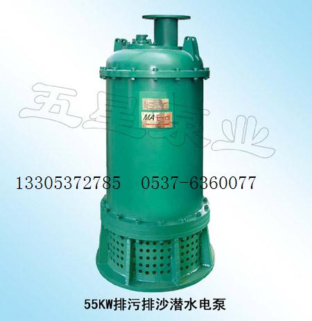 BQS50-170-55KW