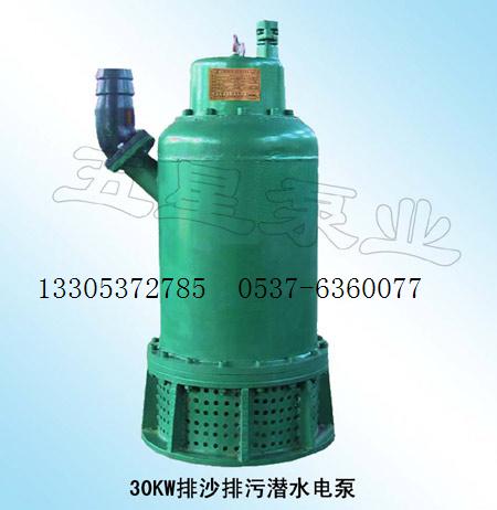 BQS80-60-30KW