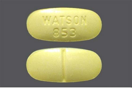 Watson 853