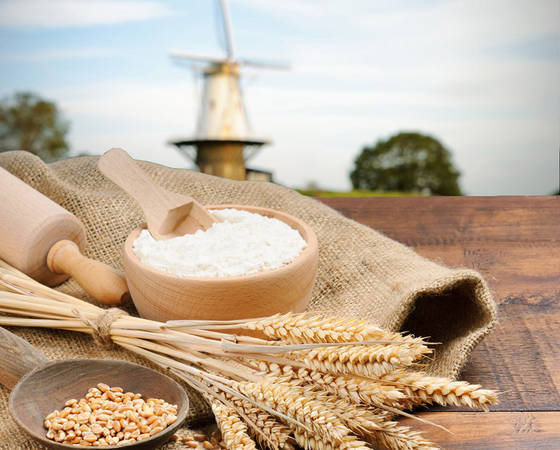 sell-wheat-flour