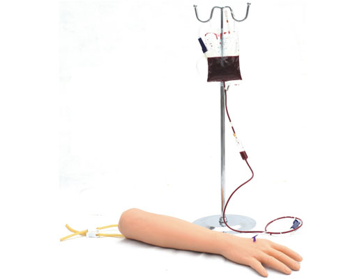 KAS-S1高级手臂静脉穿刺训练模型 