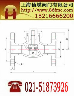 法兰低温止回阀_仙蝶阀门_德国进口