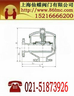 HX8型带接管吸入阀_仙蝶阀门_德国进口