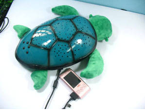 Turtle Music