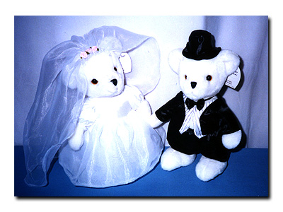 Wedding Bear (13