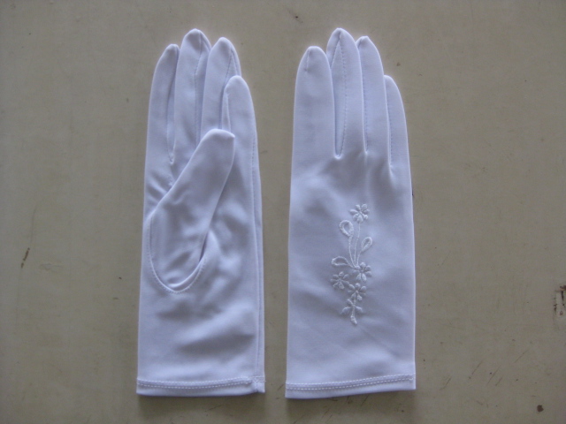 Simplex Nylon Glove