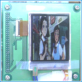 3D입체 LCD Module