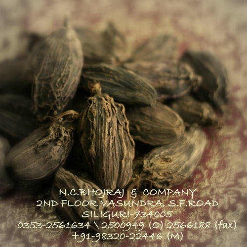 Big Cardamom