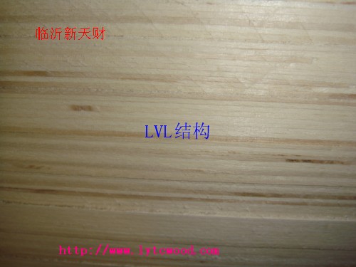 供应沙发框架用LVL（杨木）胶合板