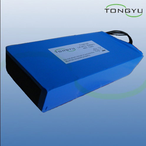 bicycle Battery 24V 36V 48V--10Ah 20Ah 30Ah from TONGYU Technology 