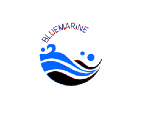 Bluemarine Photo