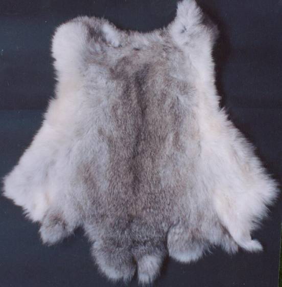 Rabbit Skin