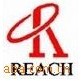 REACH(SVHC)144项检测认证