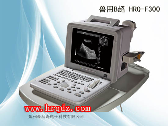 台式B超机，兽用B超测孕仪 HRQ-F300