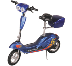 전기스쿠터(E-SCOOTER)