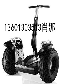 北京哪有卖赛格威(两轮自平衡电动车)？ 